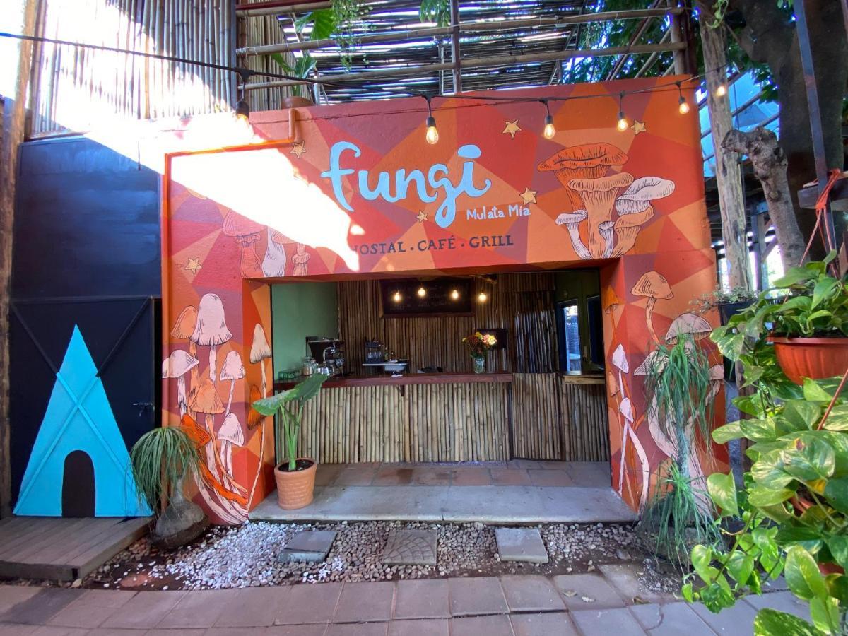 Fungi Tipis 호텔 테포츨란 외부 사진