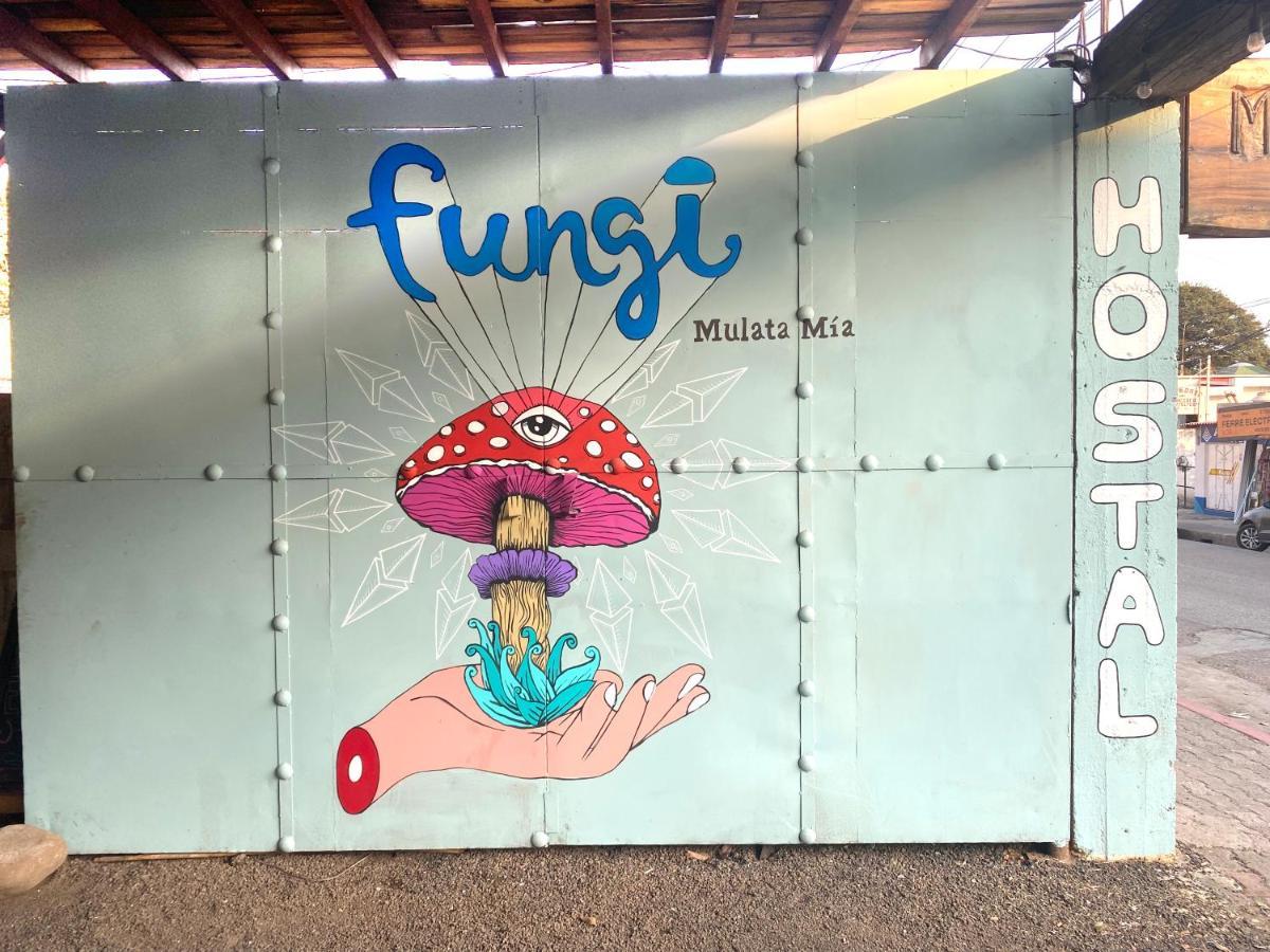 Fungi Tipis 호텔 테포츨란 외부 사진